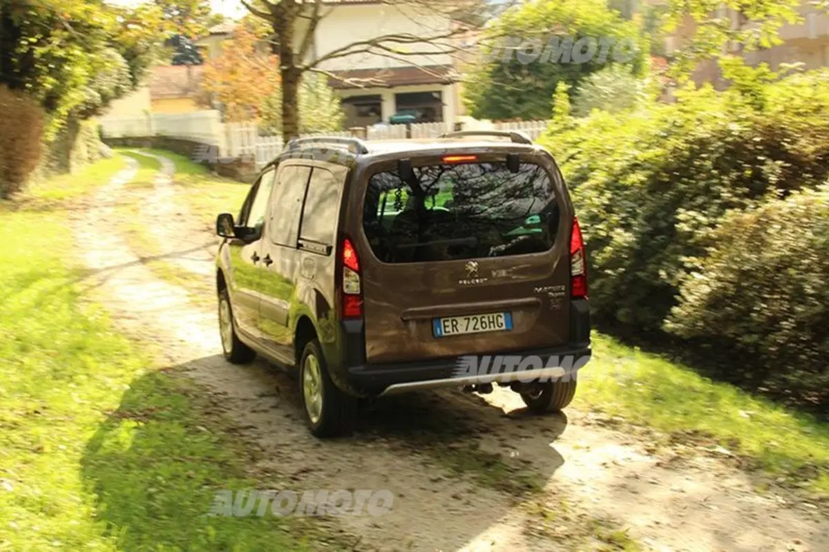 Peugeot Partner 4x4 Dangel (12)