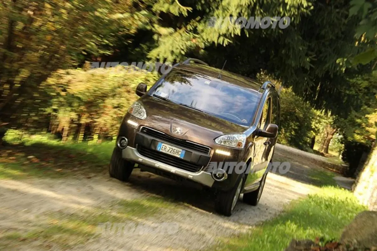 Peugeot Partner 4x4 Dangel (13)