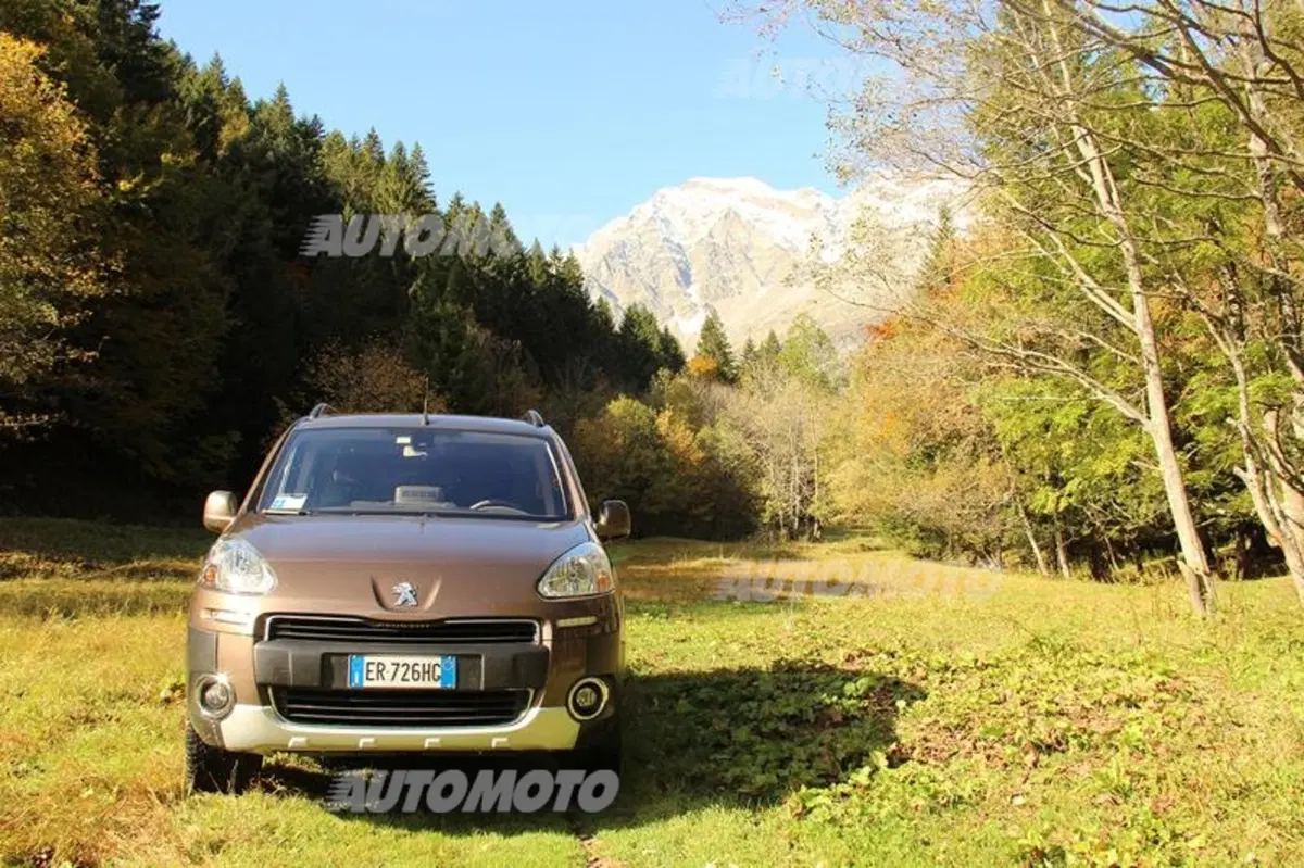 Peugeot Partner 4x4 Dangel (14)