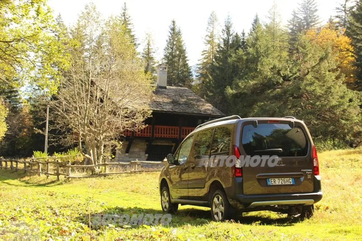 Peugeot Partner 4x4 Dangel (15)