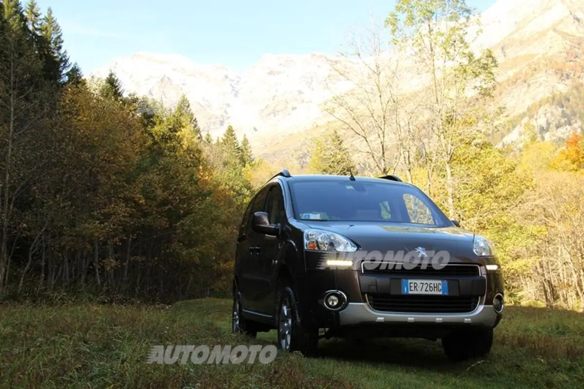 Peugeot Partner 4x4 Dangel (16)