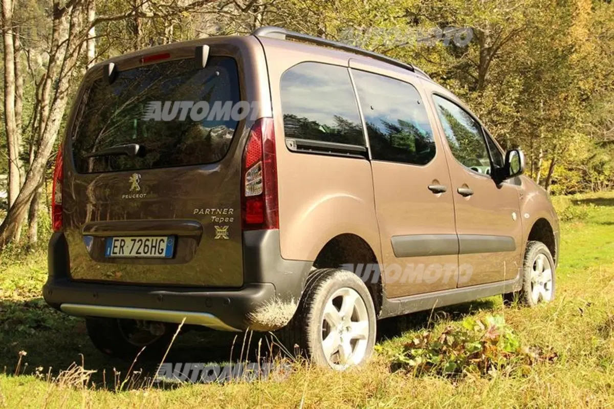 Peugeot Partner 4x4 Dangel (17)
