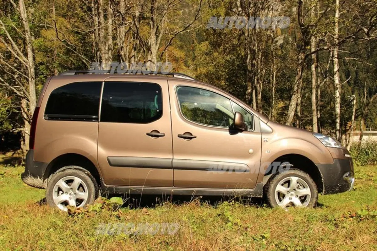 Peugeot Partner 4x4 Dangel (18)