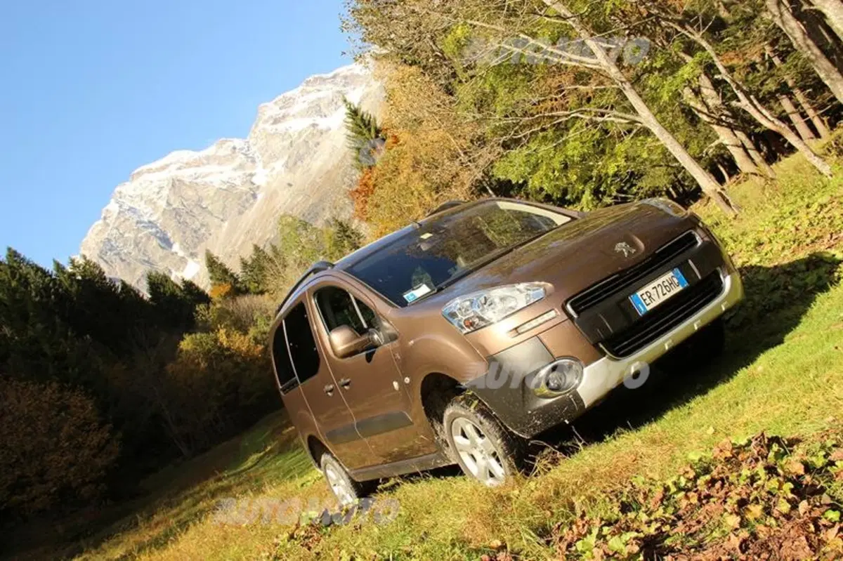 Peugeot Partner 4x4 Dangel (19)