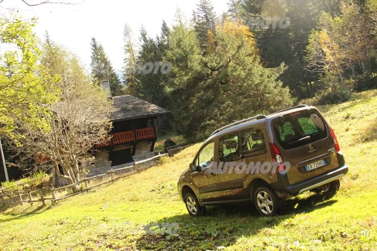 Peugeot Partner 4x4 Dangel (20)