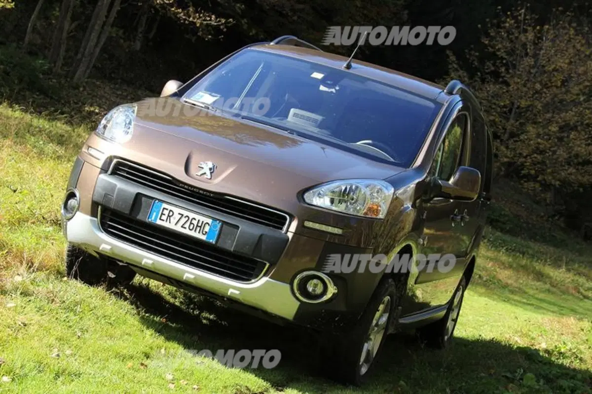 Peugeot Partner 4x4 Dangel (21)