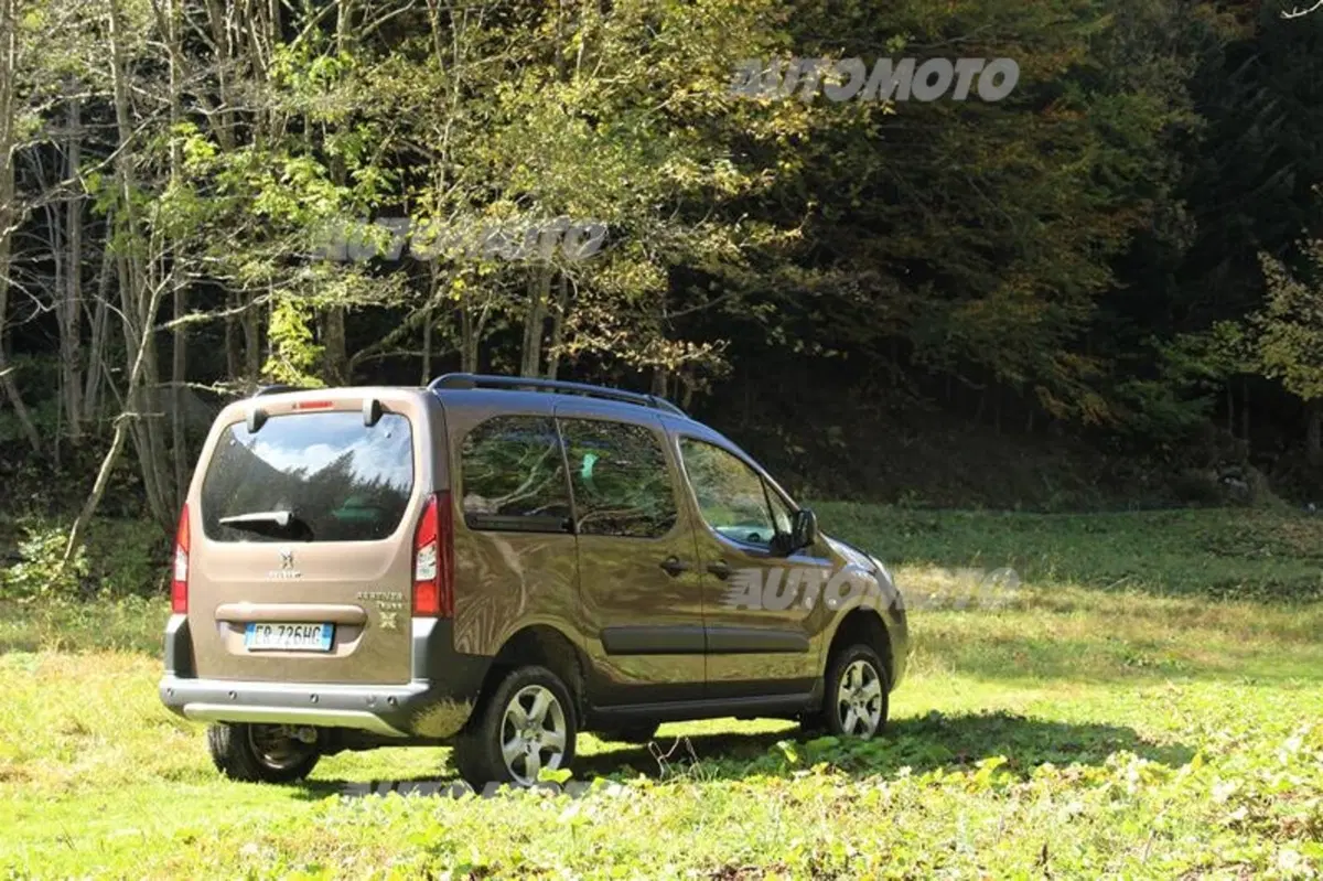 Peugeot Partner 4x4 Dangel (22)