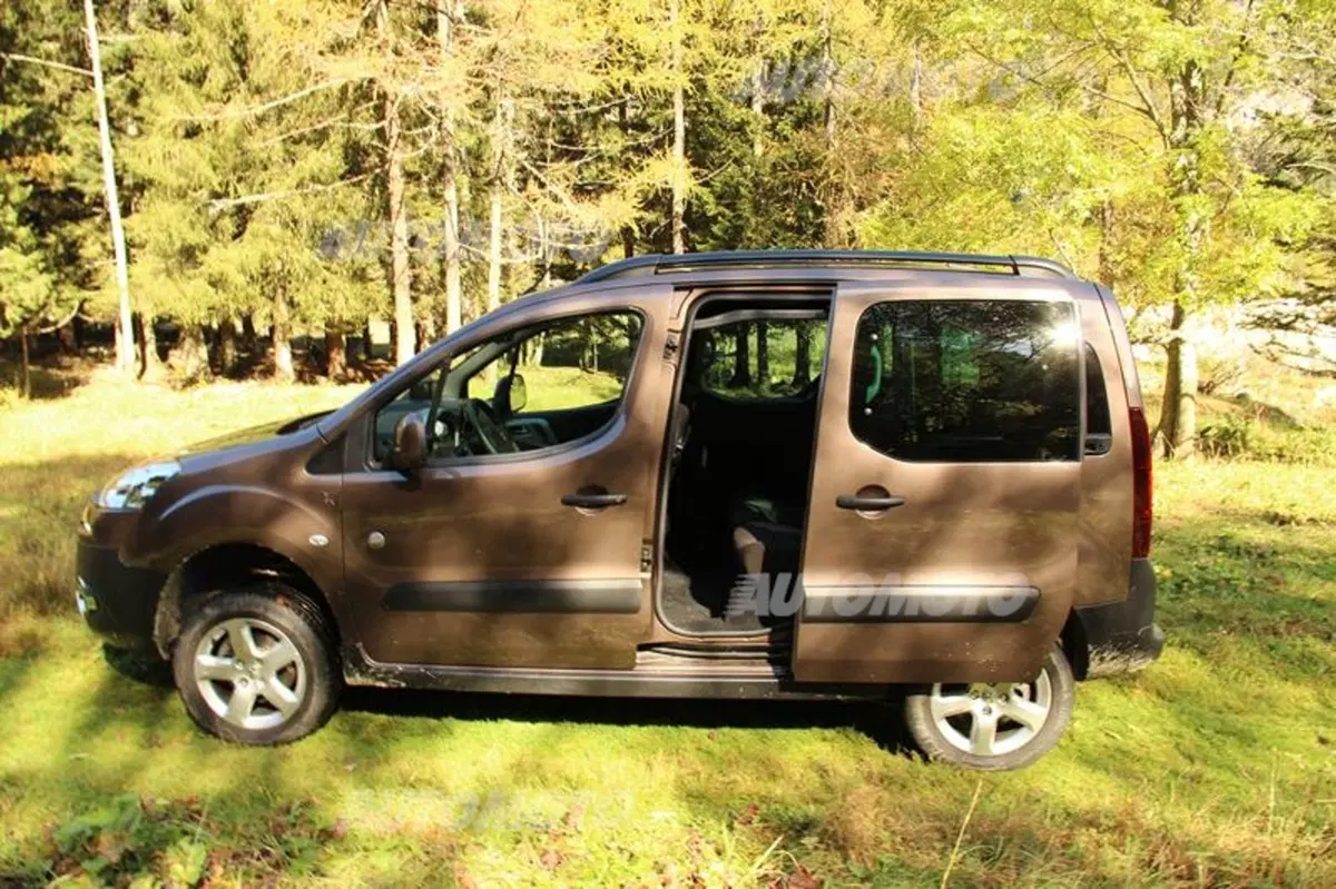 Peugeot Partner 4x4 Dangel (23)