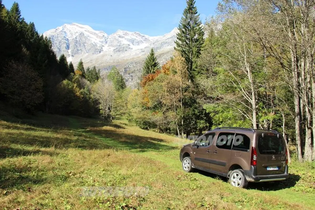 Peugeot Partner 4x4 Dangel (24)