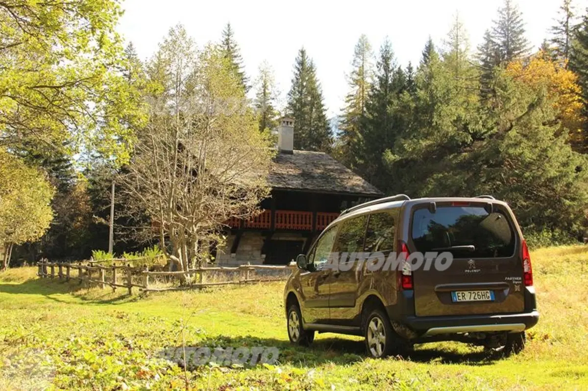 Peugeot Partner 4x4 Dangel (25)