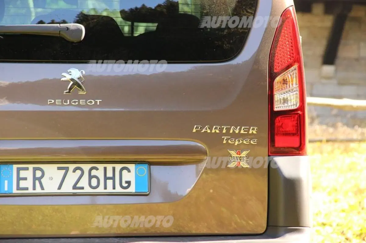 Peugeot Partner 4x4 Dangel (38)
