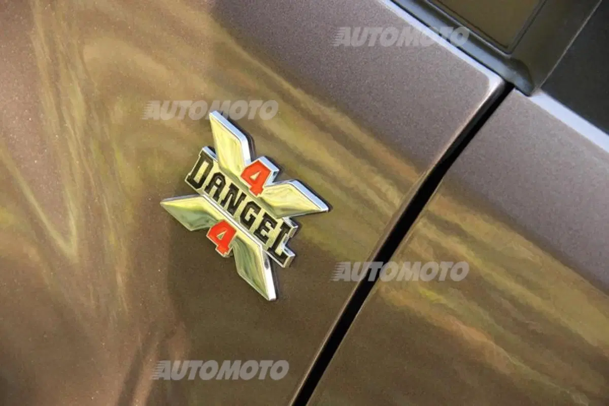 Peugeot Partner 4x4 Dangel (42)