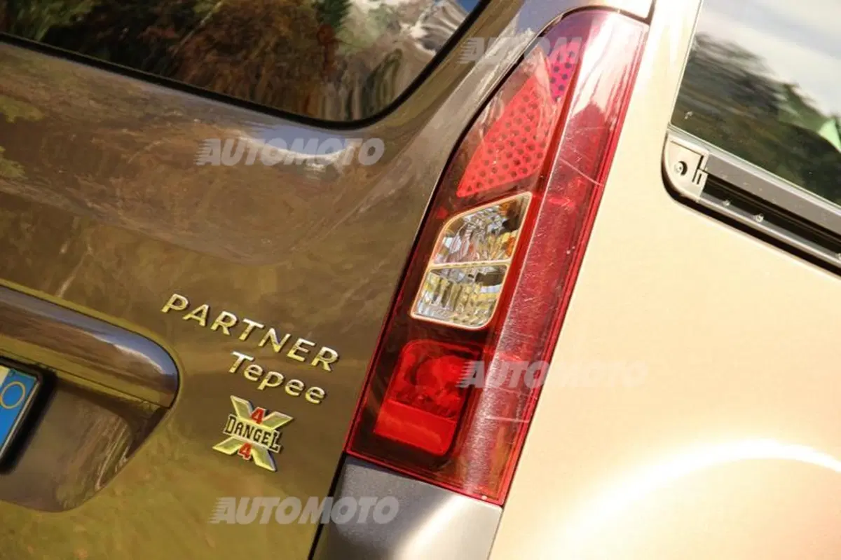 Peugeot Partner 4x4 Dangel (43)
