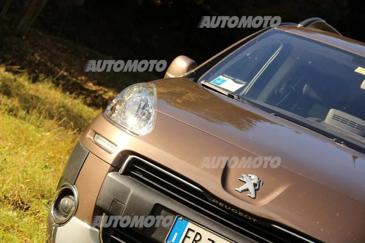 Peugeot Partner 4x4 Dangel (44)