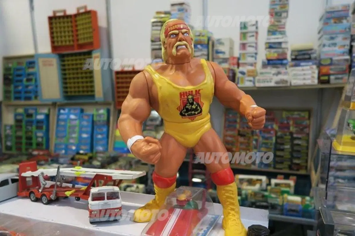 Mostra scambio modellismo 2014: a Novegro torniamo tutti bambini (32)
