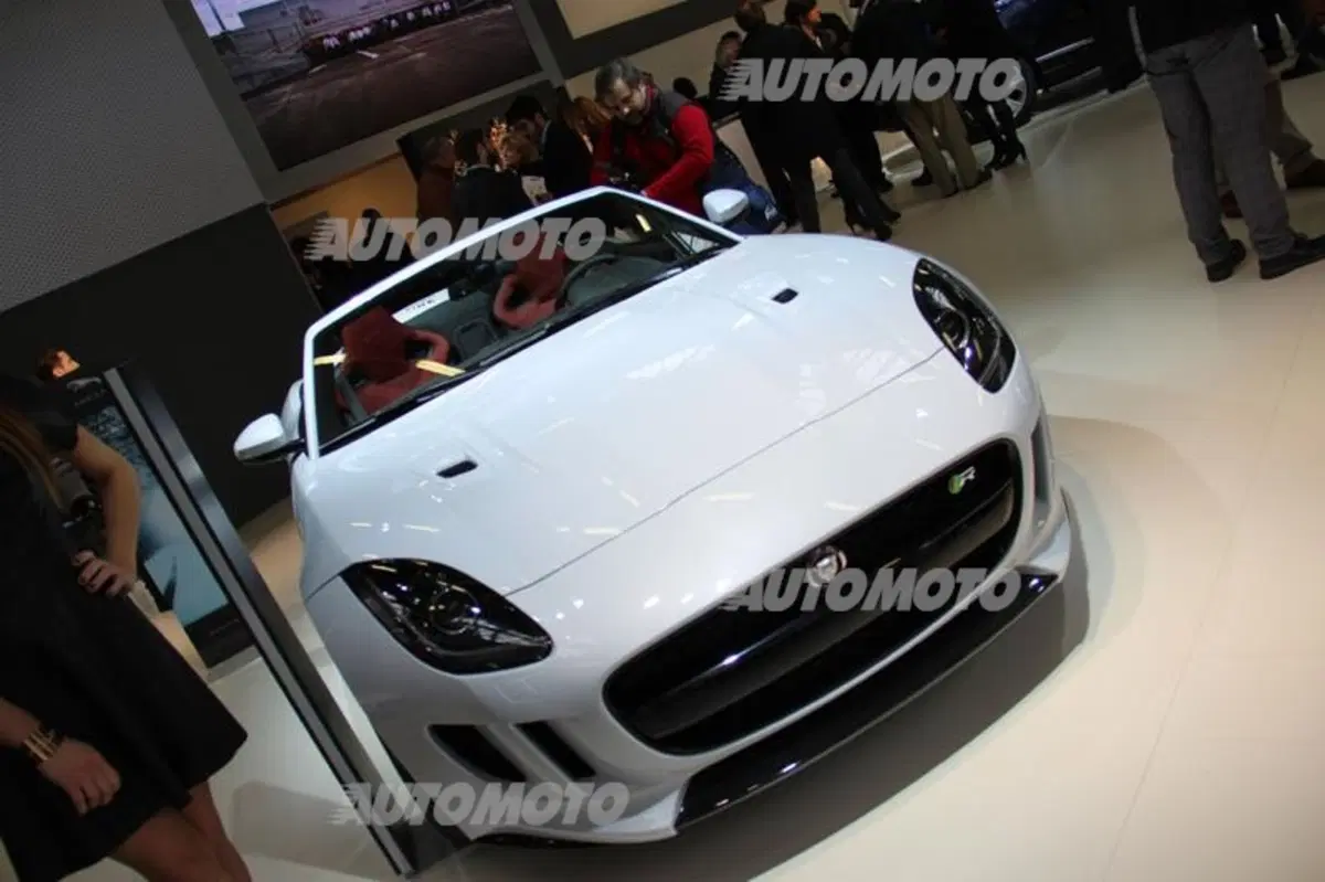 Bologna Motor Show 2014: ecco tutto quello che c'è da fare e vedere