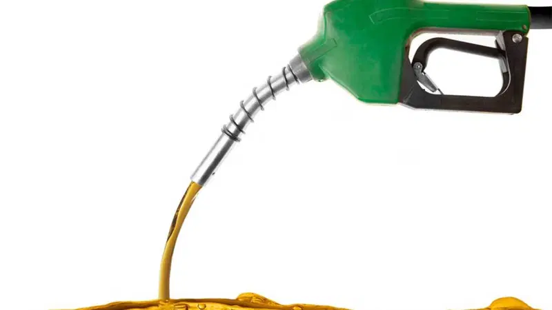 De Vita: &laquo;L'Italia &egrave; l'unico Paese dove il prezzo della benzina non scende quanto dovrebbe&raquo;