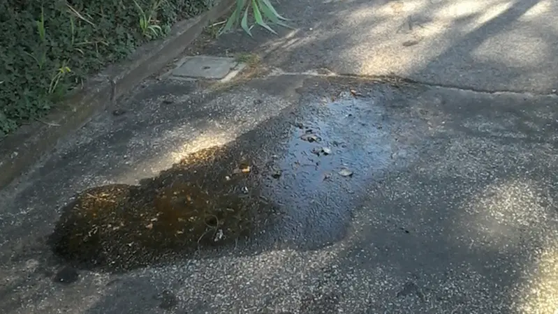 Incidente causato da una macchia d'olio? L'Anas deve risarcire