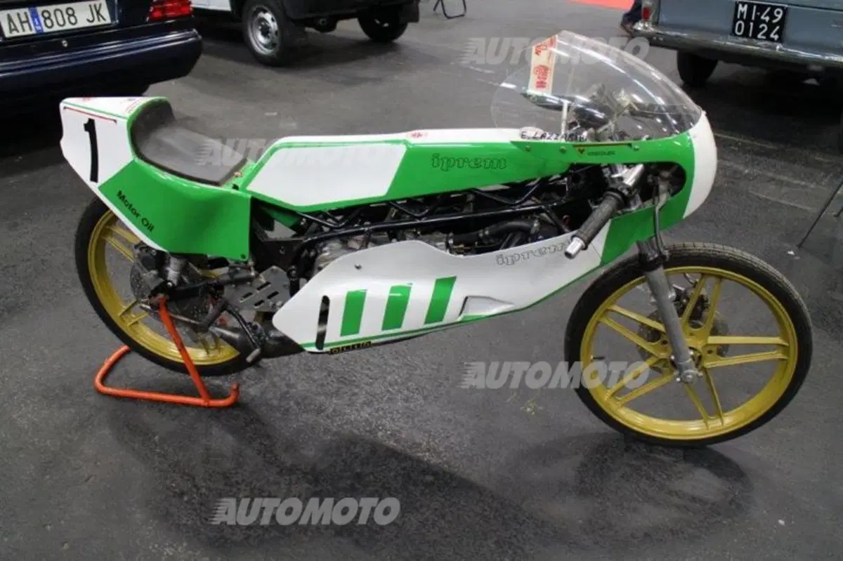 Automotoretrò Torino: le foto più belle in diretta (15)