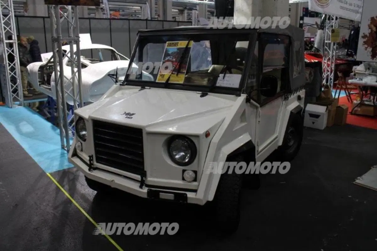Automotoretrò Torino: le foto più belle in diretta (16)