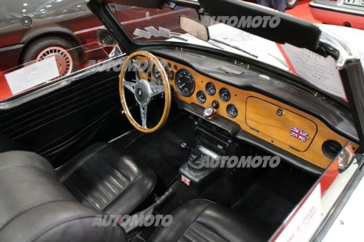 Automotoretrò Torino: le foto più belle in diretta (37)
