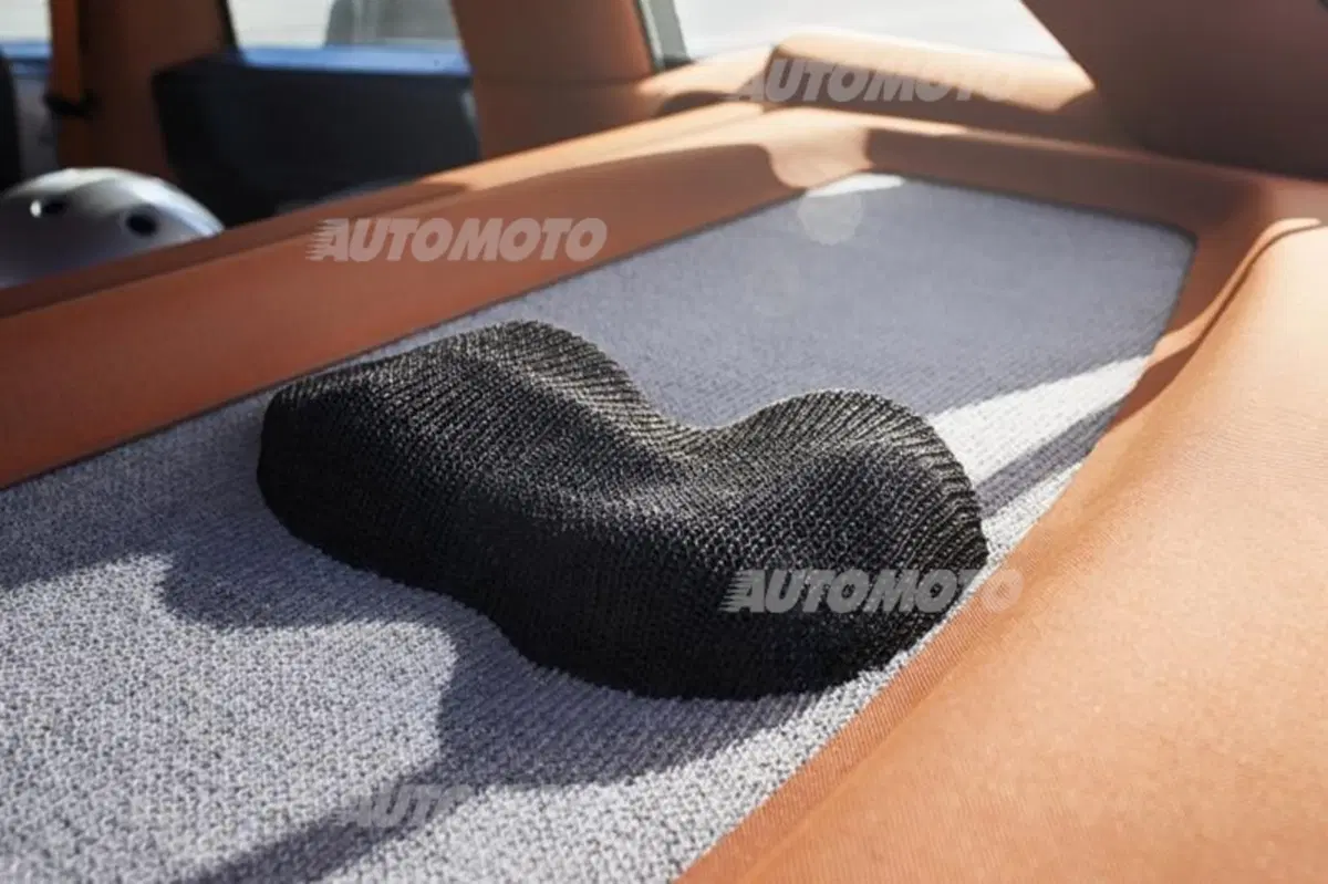 Rinspeed Budii: l'auto con il braccio robotico (47)