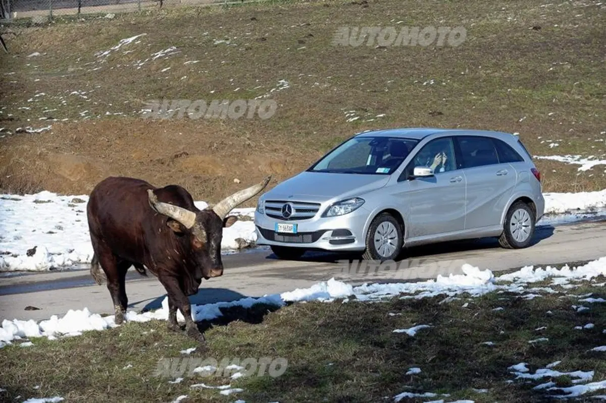 Mercedes Classe B Electric Drive