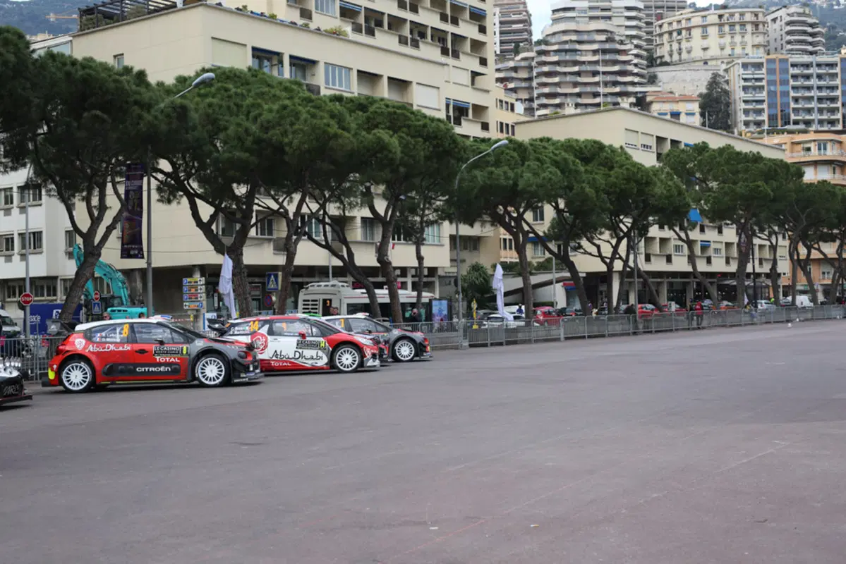 WRC17. Monte-Carlo, Inizio Fatale: morto uno spettatore (10)