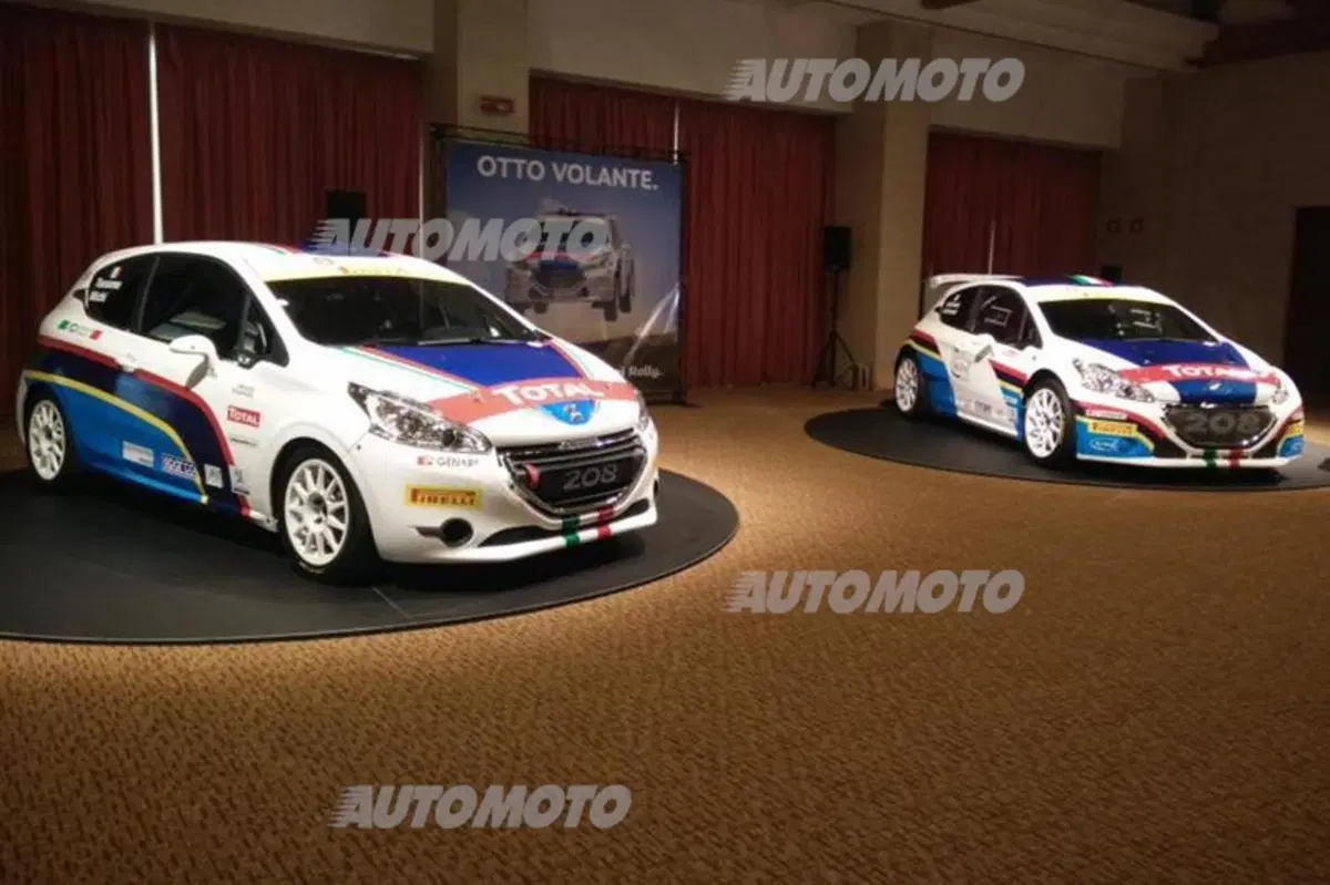 Peugeot: Andreucci di nuovo all'attacco nel CIR 2015 (16)