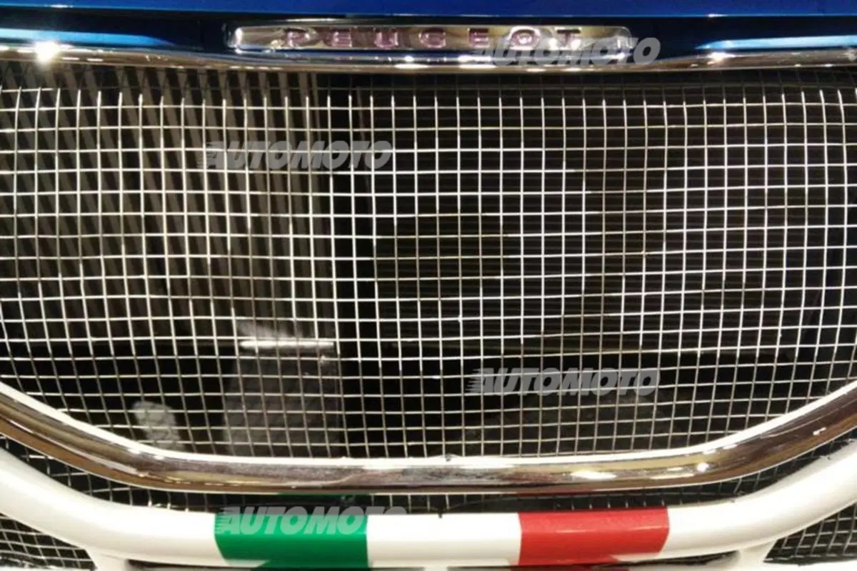 Peugeot: Andreucci di nuovo all'attacco nel CIR 2015 (19)