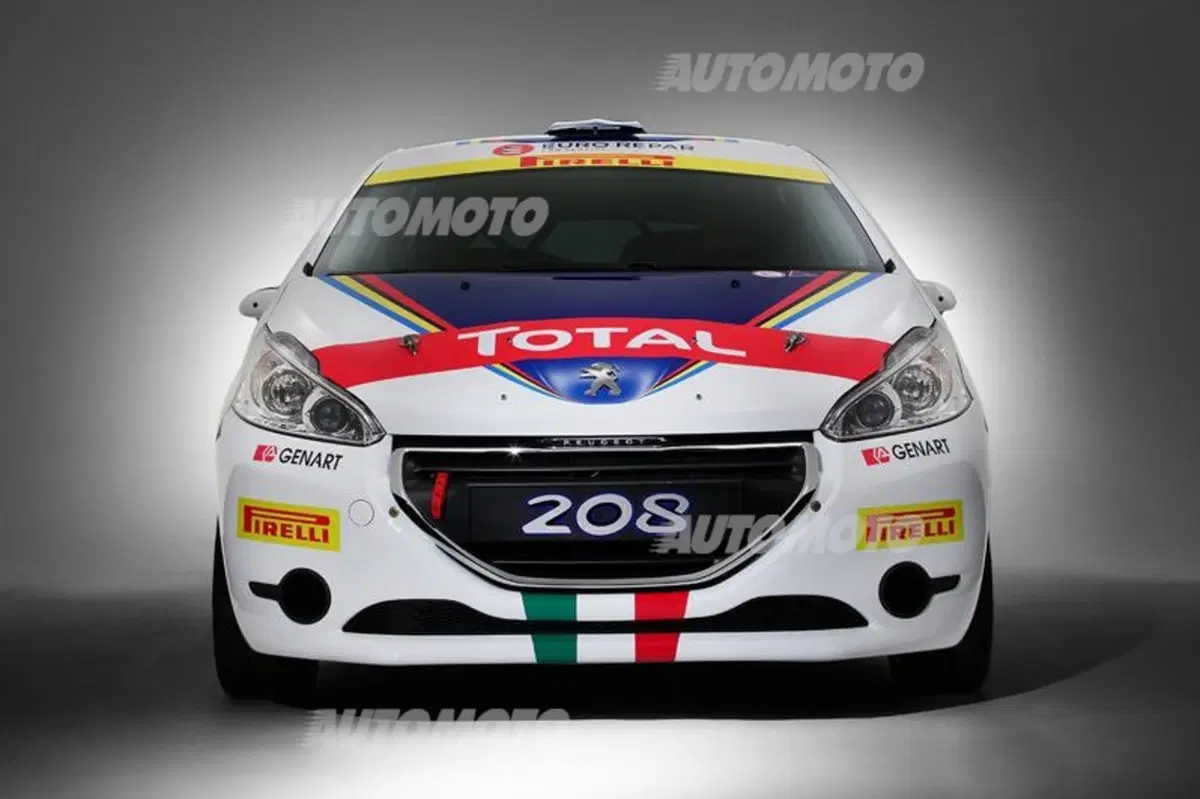 Peugeot: Andreucci di nuovo all'attacco nel CIR 2015 (21)