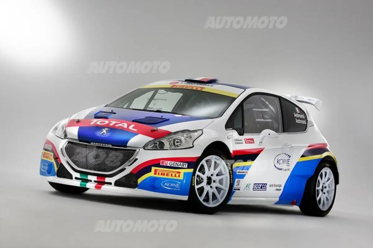 Peugeot: Andreucci di nuovo all'attacco nel CIR 2015 (35)