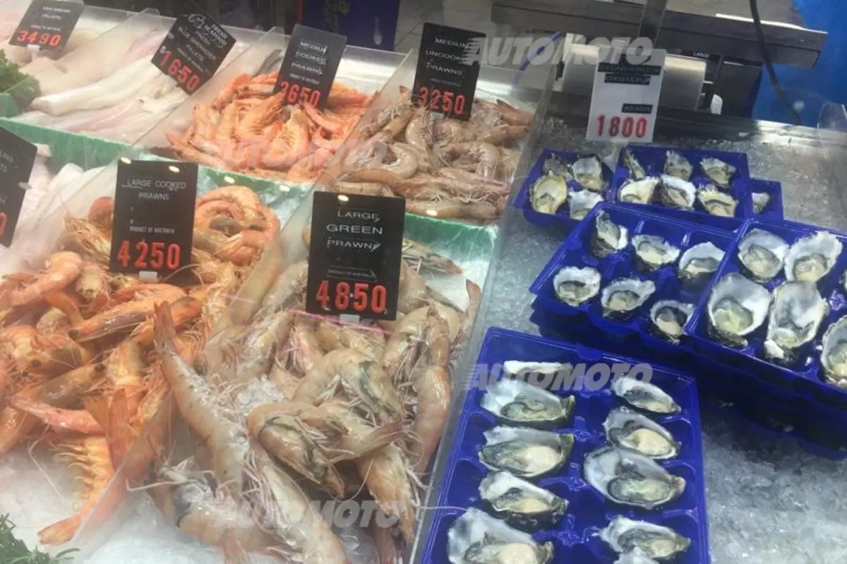 GP d'Australia 2015: la F1 vista dal capo del catering Pirelli