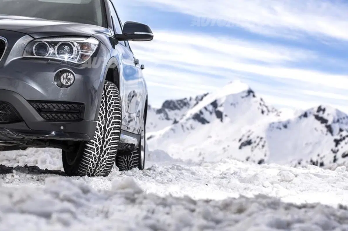 Nokian WR D4 (3)