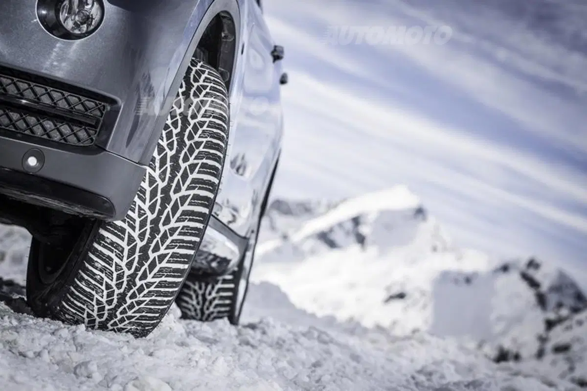 Nokian WR D4 (4)