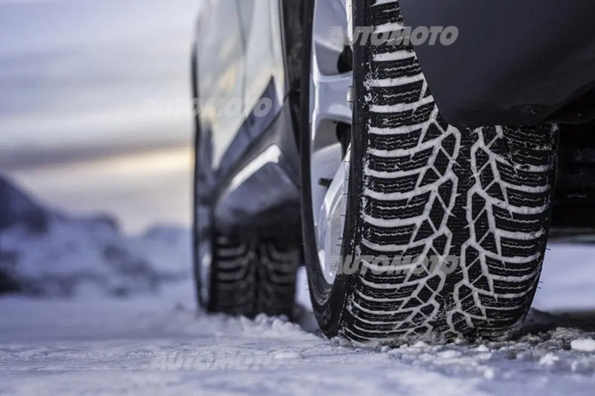Nokian WR D4 (5)