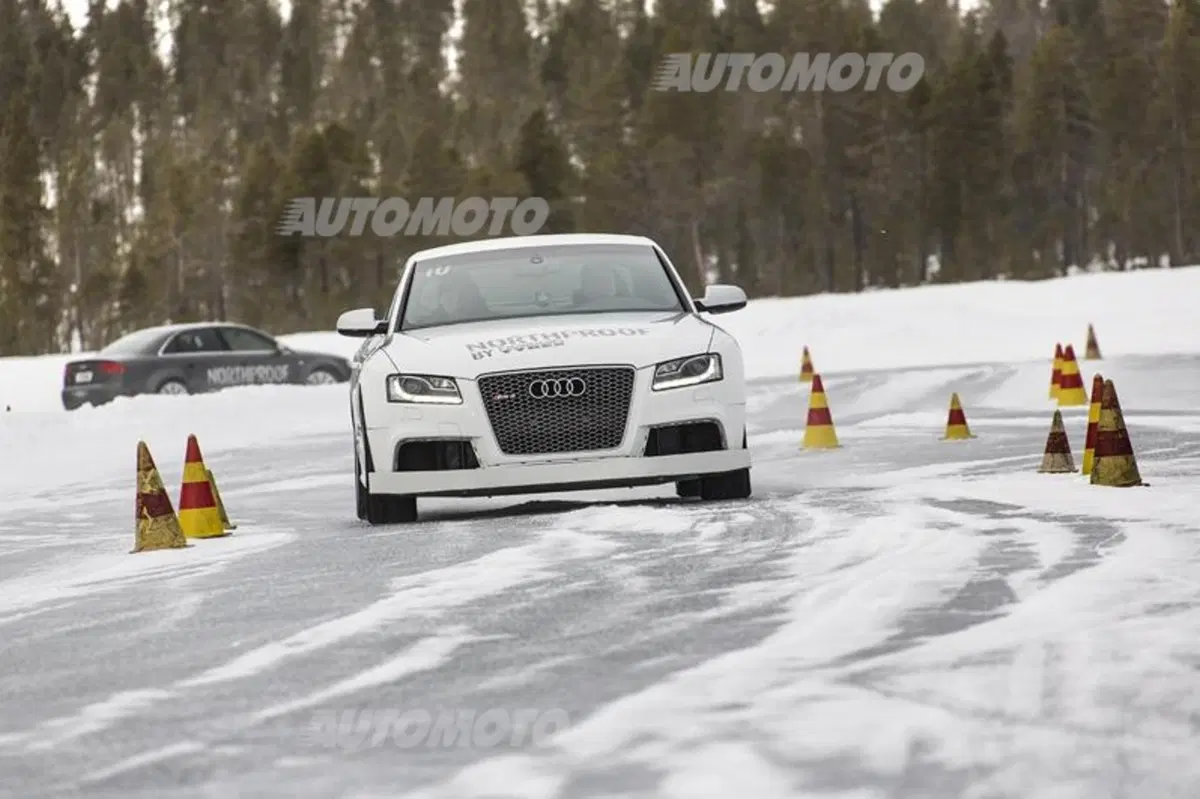 Nokian WR D4 (8)