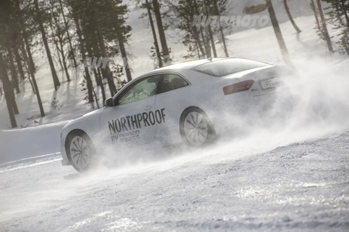 Nokian WR D4 (11)