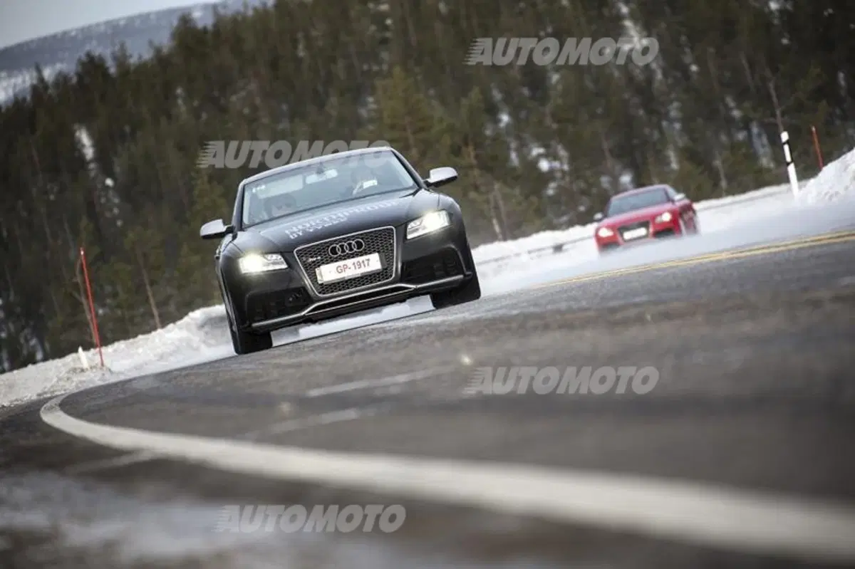 Nokian WR D4 (15)