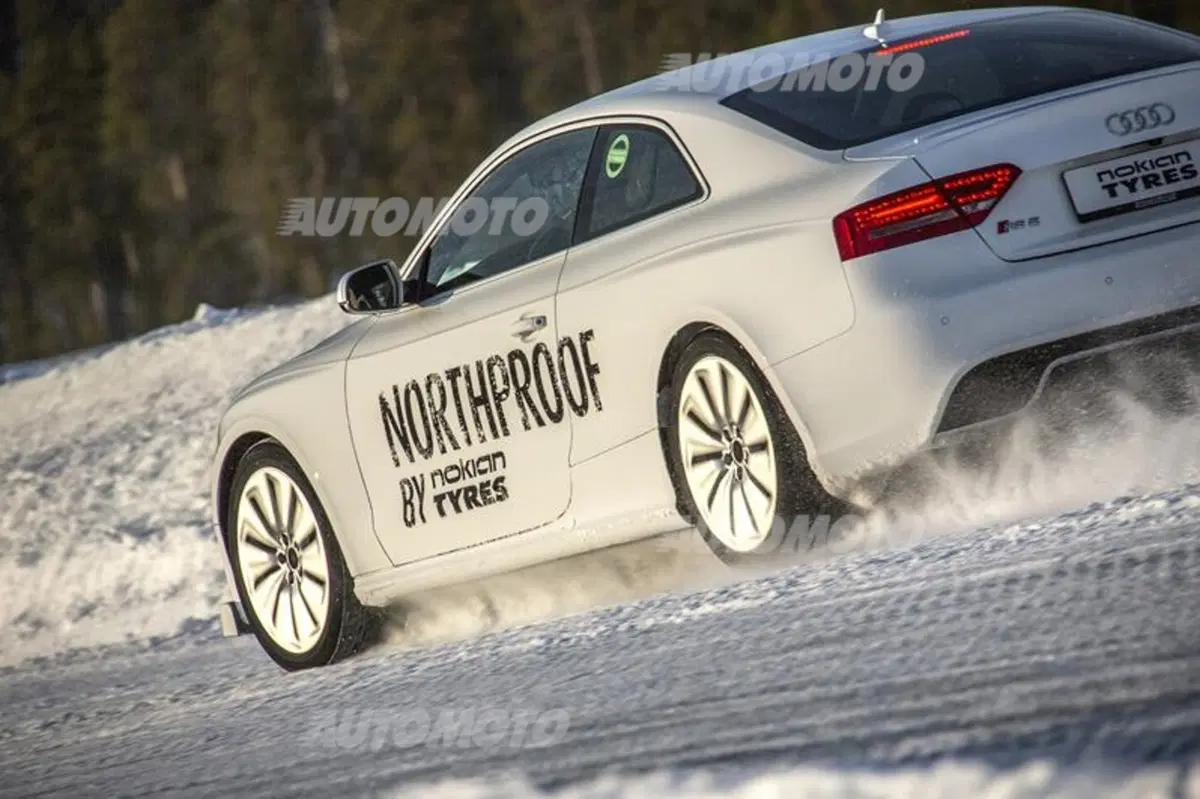 Nokian WR D4 (21)