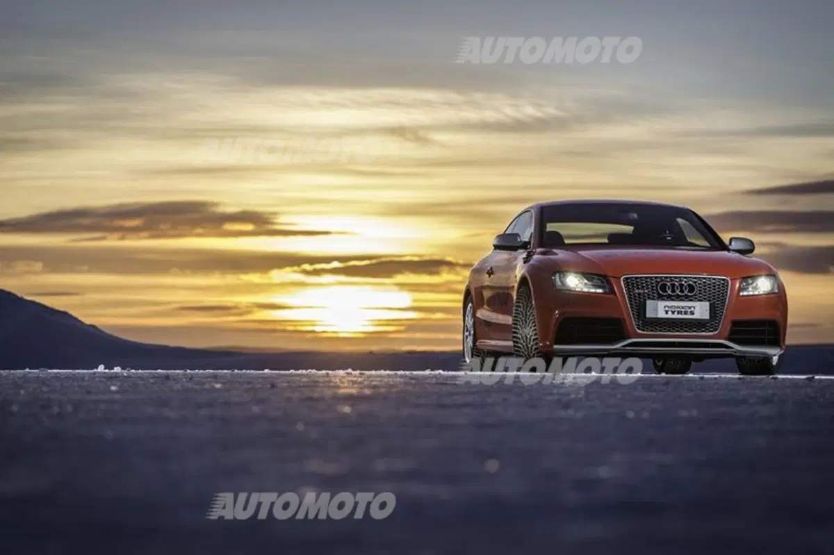 Nokian WR D4 (22)