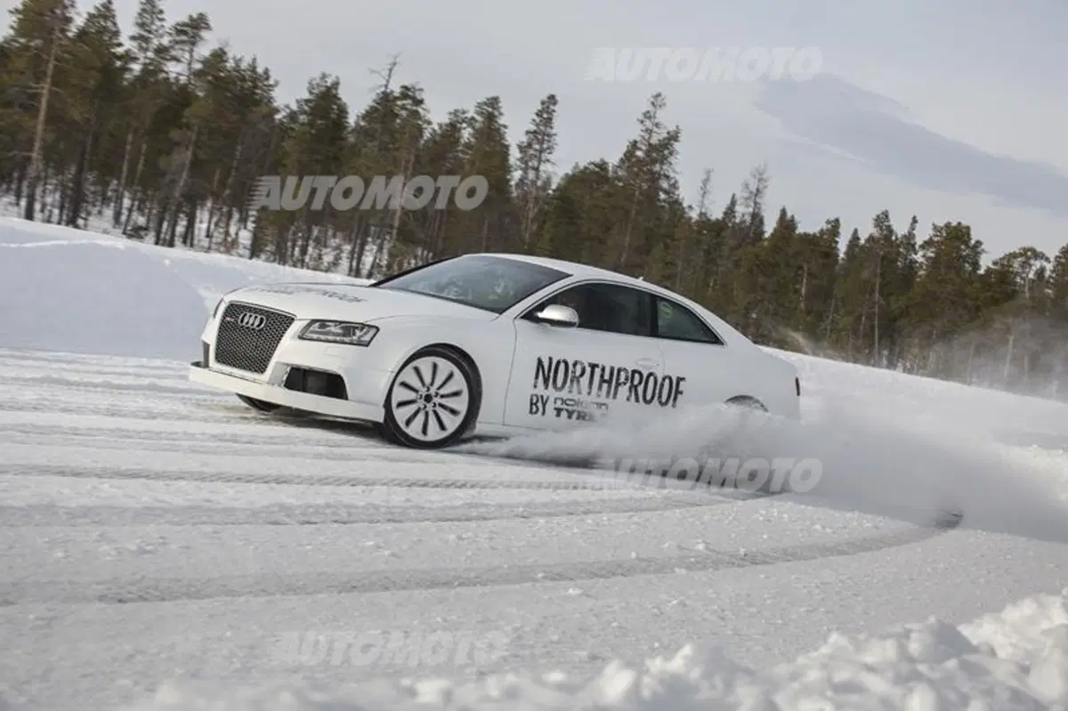 Nokian WR D4 (31)