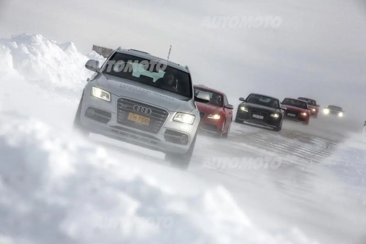 Nokian WR D4 (33)