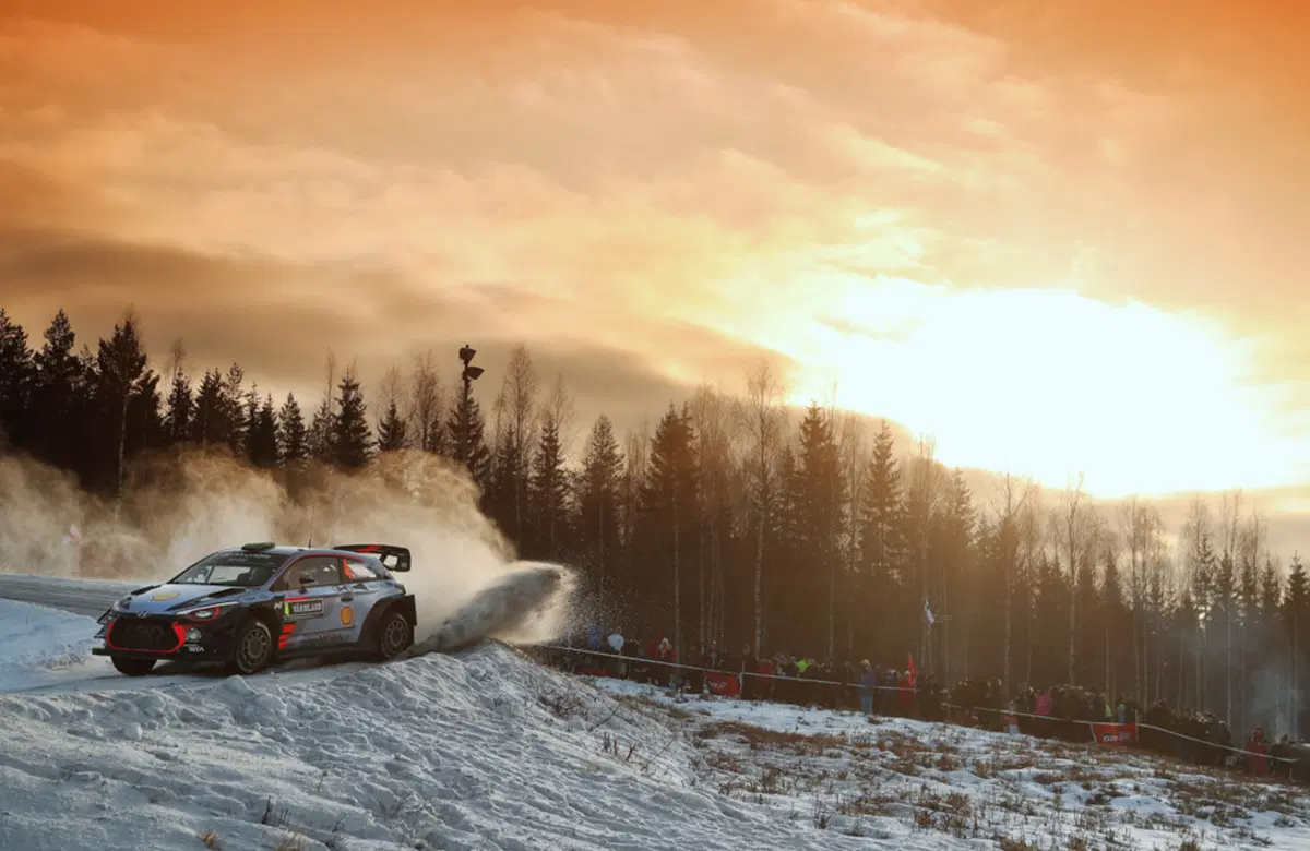 WRC con Hayden Paddon: Svezia (6)