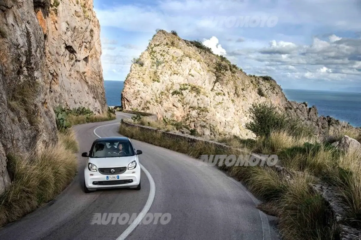 smart fortwo twinamic