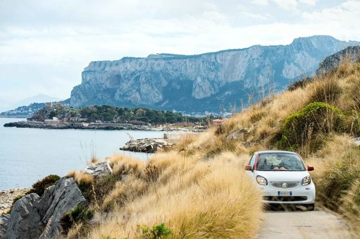 smart fortwo twinamic (6)