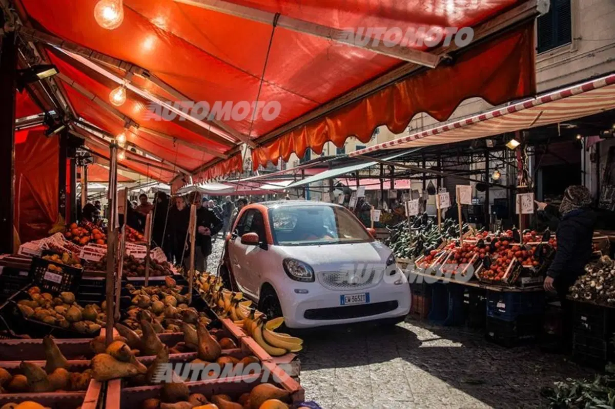 smart fortwo twinamic (15)