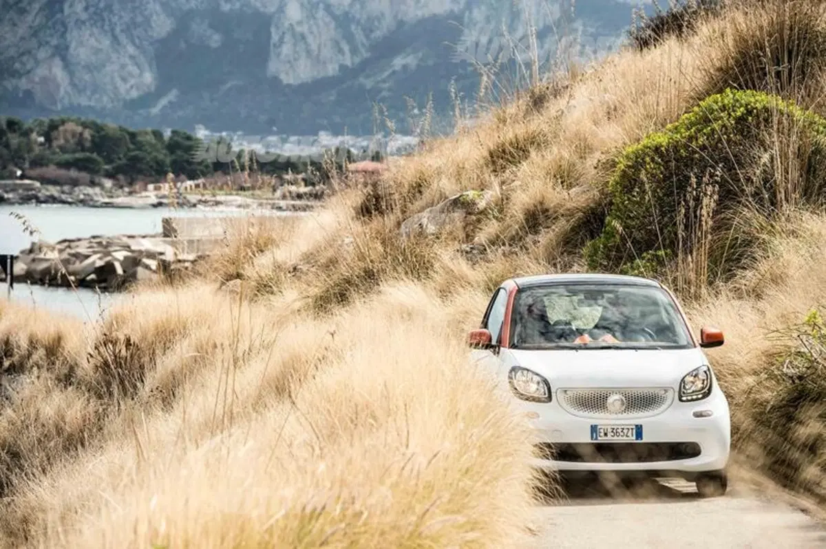 smart fortwo twinamic (37)