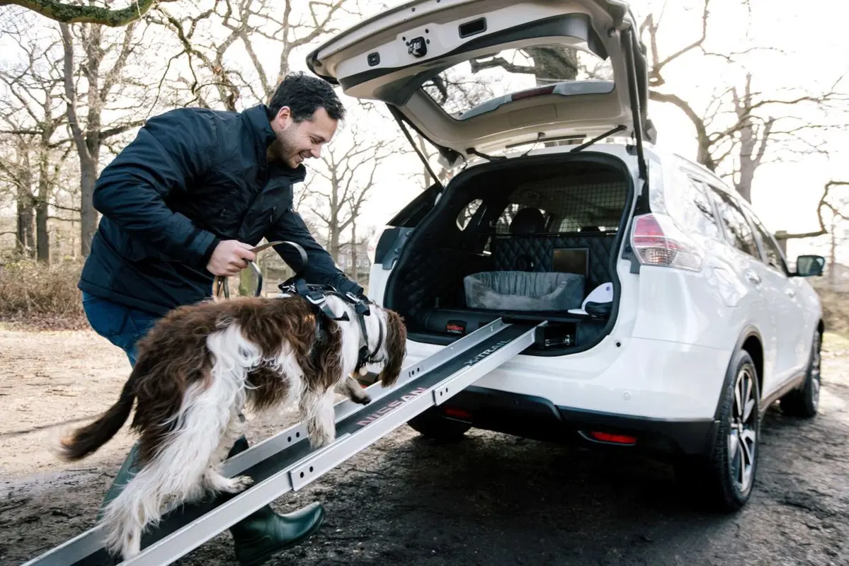 Nissan X-Trail 4Dogs, il SUV perfetto per Fido [Video]