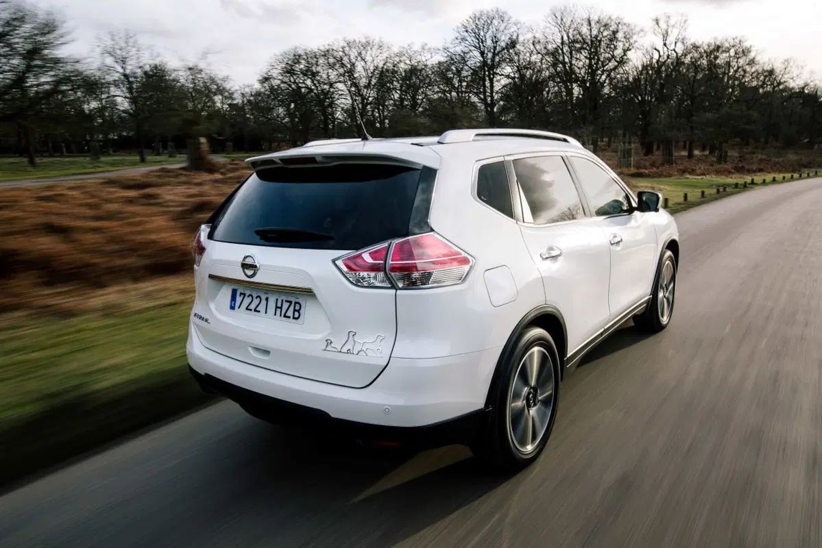 Nissan X-Trail 4Dogs, il SUV perfetto per Fido [Video] (8)